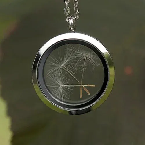 dandelion necklace Stainless steel Locket